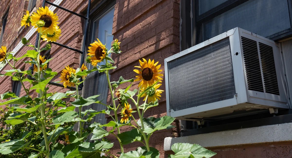 AC Maintenance Tips: Protecting Your NYC Home from Smoke-Filled Air (2026)